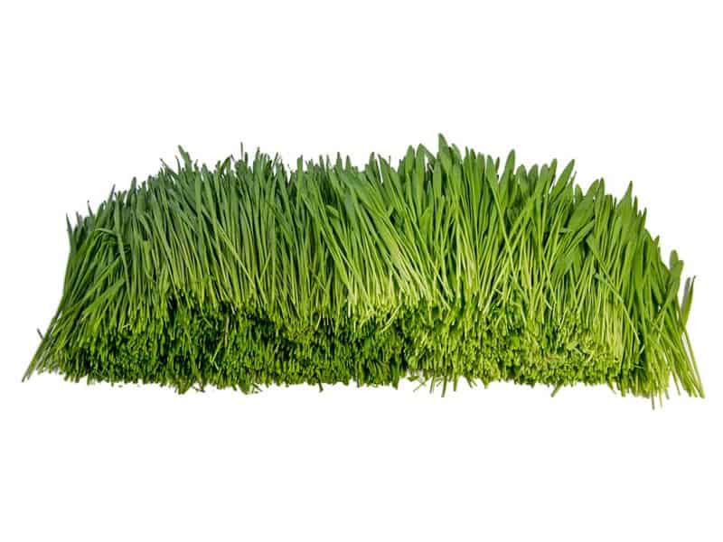 Gras Mix