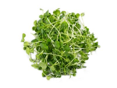 Microgreens Rettich