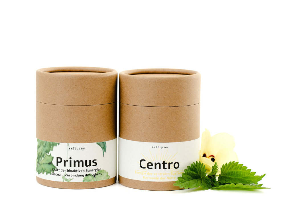 Centro trifft Primus